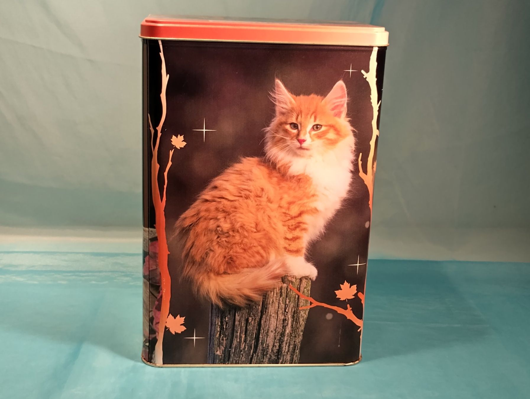 Sonstige Dekorationen & Accessoires: Grosse ROYAL CANIN Blechbüchse, Katzen – Gebraucht aus Bellach von JingleCherry 1