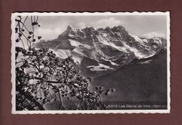 DENTS DU MIDI