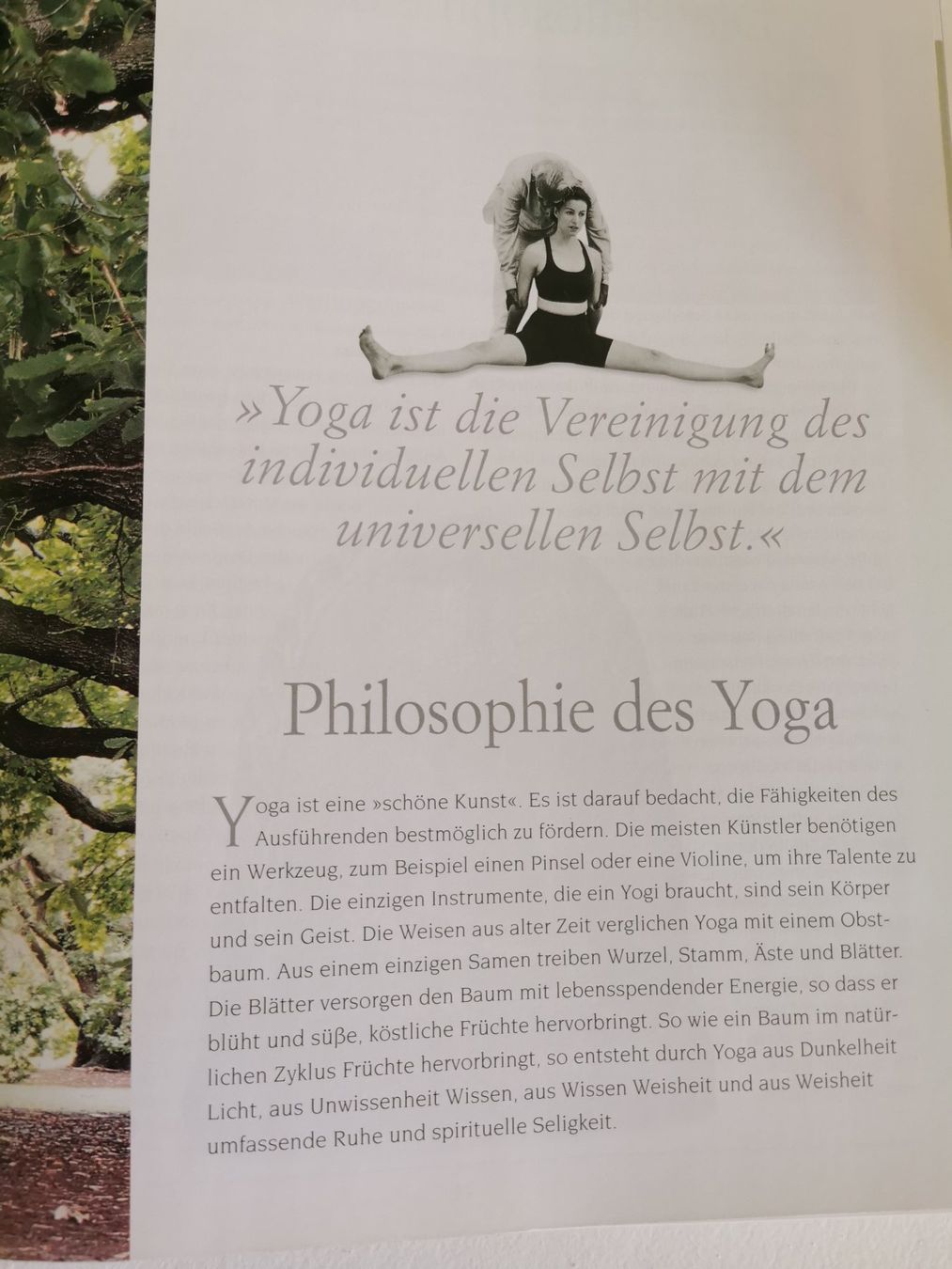 Libri: YOGA - B.K.S. Iyengar – Usato da bern venduto da jeannie2006 8