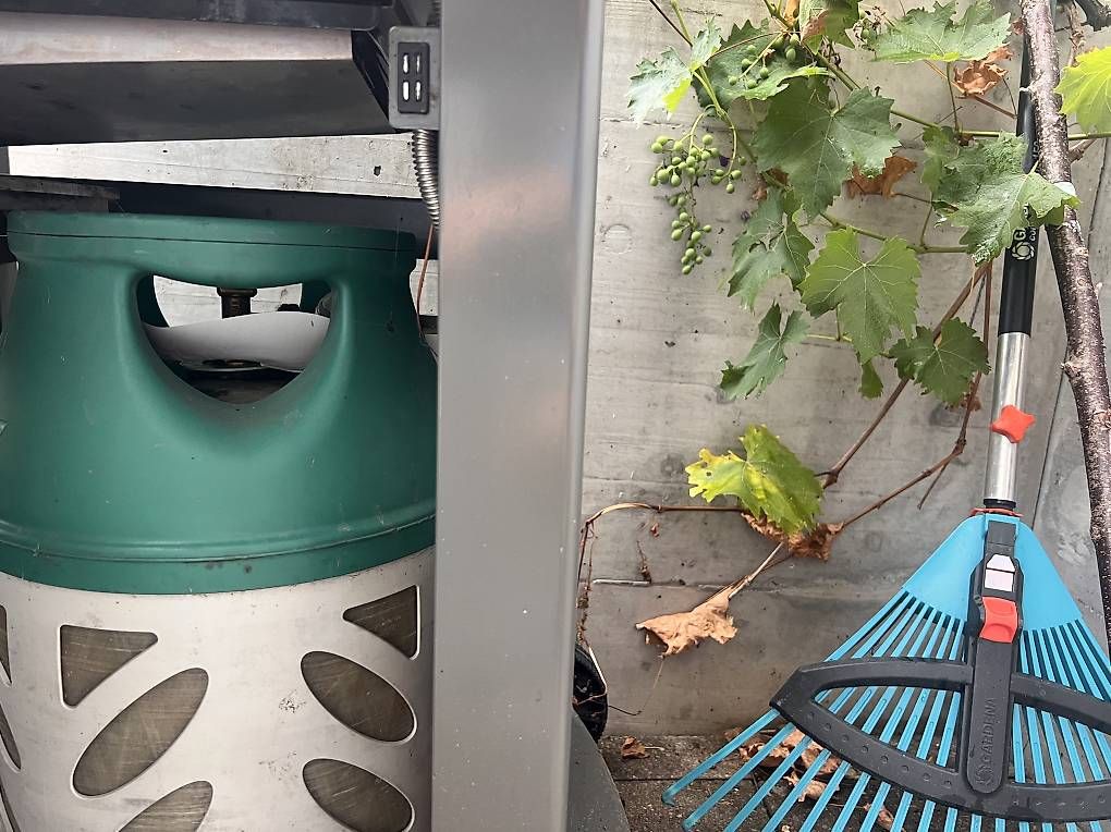 Grils: Weber Spirit – D'occasion à Zürich par jopachinger 2