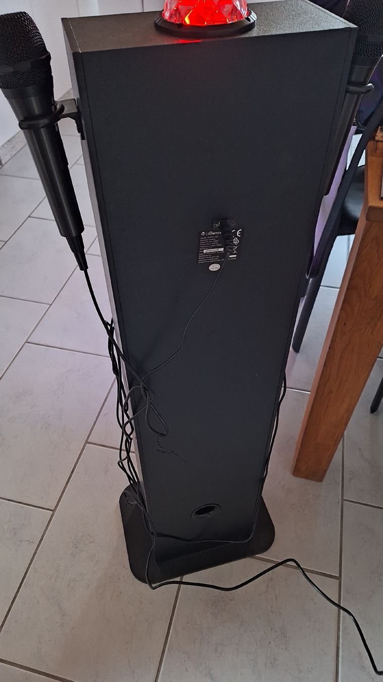 Mikrofone: Karaokebar 2 Mikros – Neu (gemäss Beschreibung) aus Huttwil von swissfrau69 3