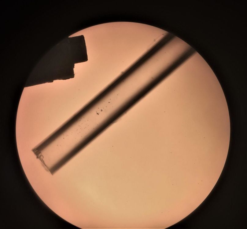 Microscopes: Mikroskop Glasschmiede – D'occasion à Niederdorf par LeptonAG_Labor 6