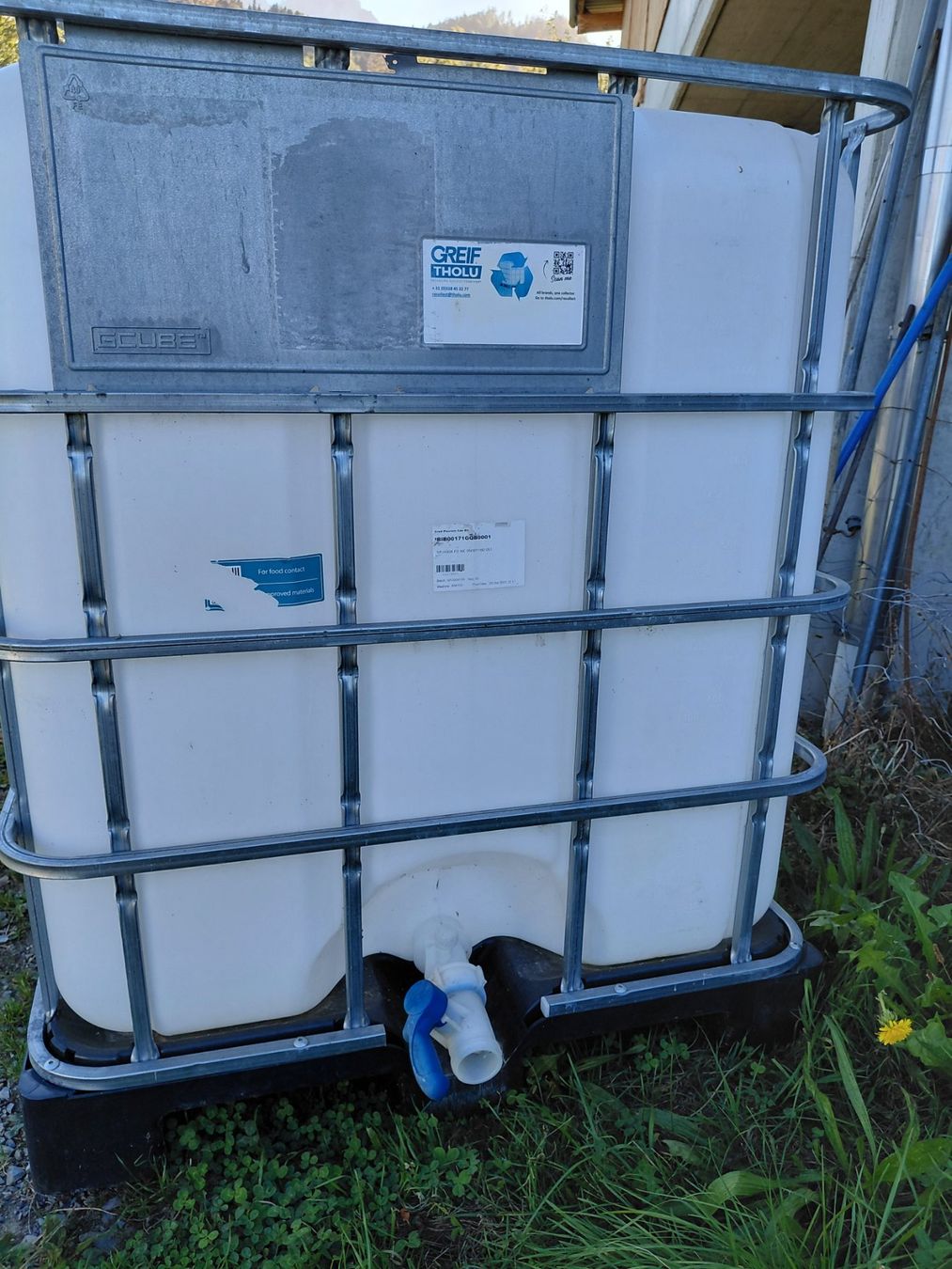 Tränken & Tröge: IBC Tank – Gebraucht aus Kriens von leila18 1
