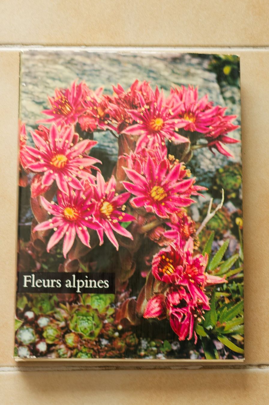 Livres: Livre Fleurs alpines, Editions Silva 1969 – D'occasion à Grolley par Nousty
