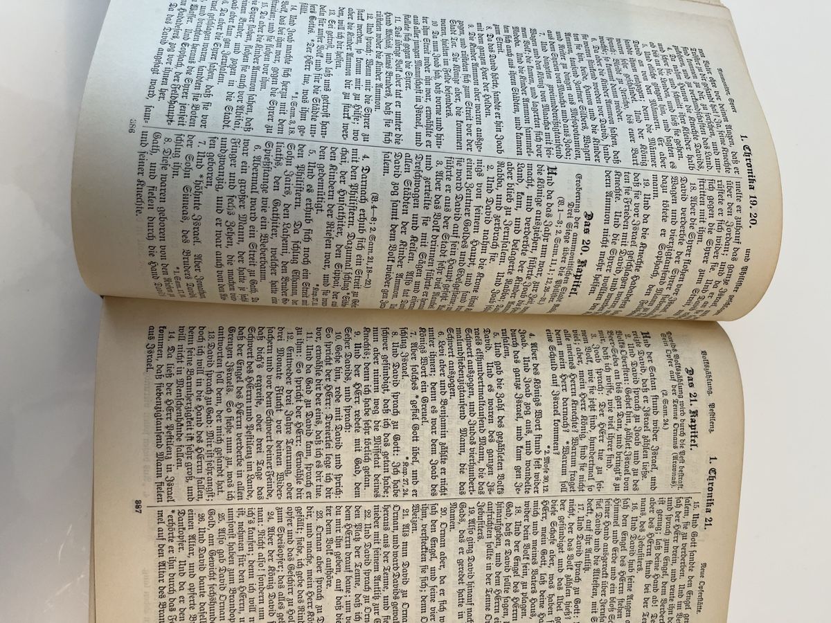 Libri: Alte Bibel 1907 – Usato da Luzern venduto da Lamurga 4