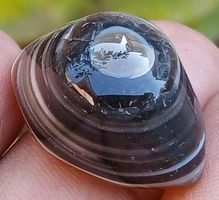 Cabochon L-4426 – Sulemani Hakik Auge Achat 27x18mm 59 Karat