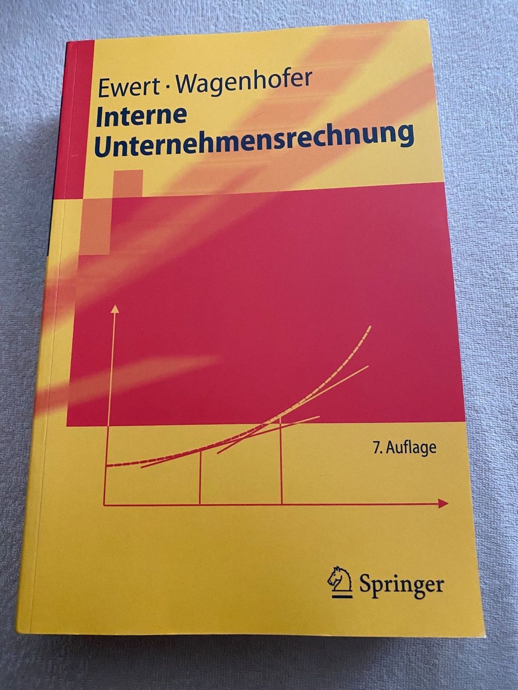 Libri: Interne Unternehmensrechnung – Usato da Bellach venduto da Legdance