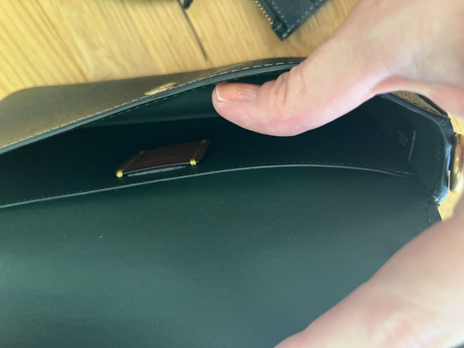 Coach Sacs femmes: Coach WYN crossbody Amazon green – D'occasion à Reinach BL par pinklemonade 6