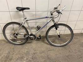 Herren Fahrrad "Diamondbacks"