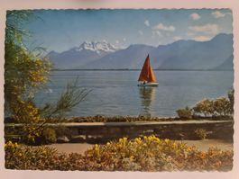 Ansichtskarte Lac Leman 1957 nr.1313