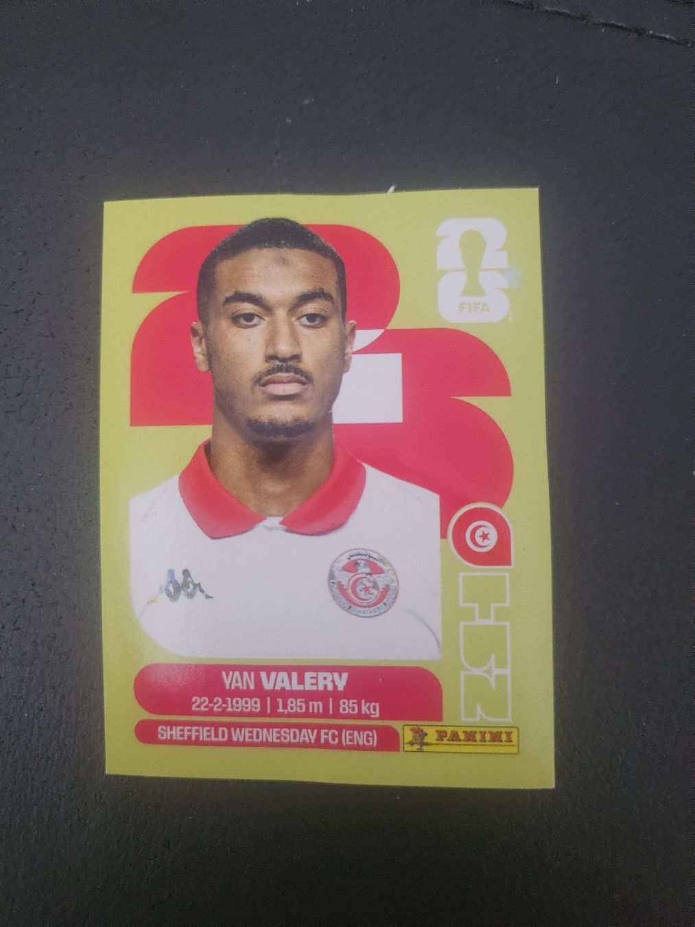 Panini Sammelbilder & Trading cards: panini TUN 4 – Neu (gemäss Beschreibung) aus Croy von sylvie1350