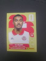 panini TUN 4