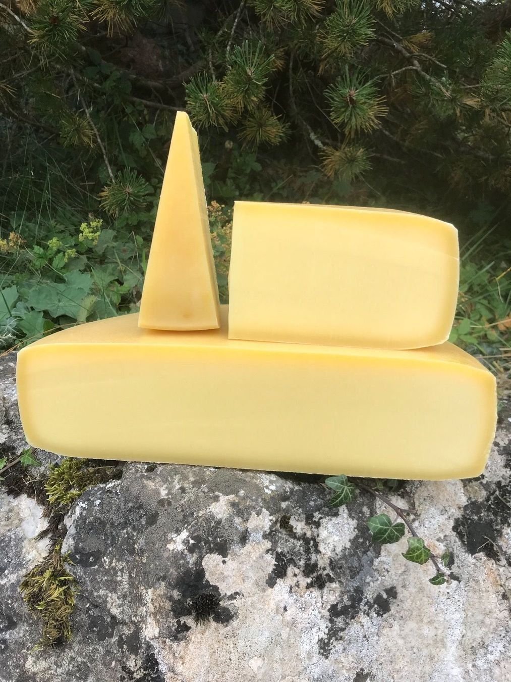 Lebensmittel & Spezialitäten: Berner Alpkäse 2026 – Neu und originalverpackt aus Hasliberg-Goldern von flowerbauer74 1