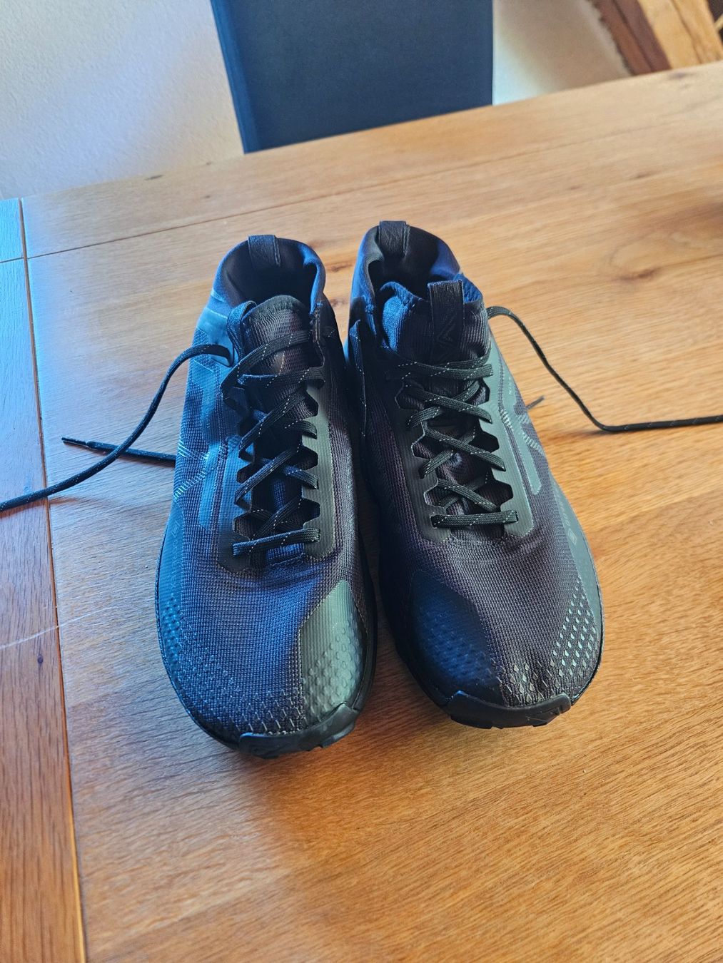 Nike Herrenschuhe: Nike Goretex Schuhe Gr.45 NEU – Neu (gemäss Beschreibung) aus Kienberg von maca121