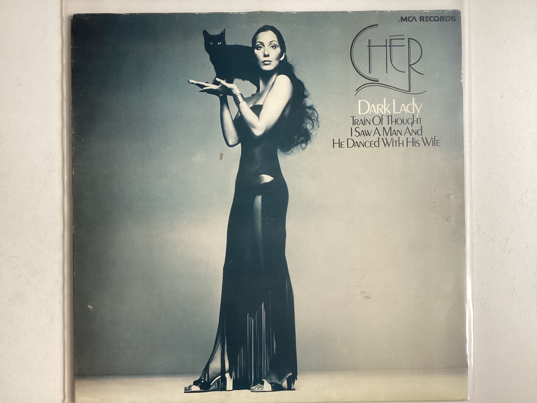 Dischi in vinile: Cher LP - Dark Lady – Usato da Gutenswil venduto da Hamzian