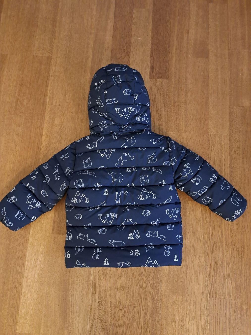 Giacche & Cappotti: Winterjacke Gr. 92 – Nuovo (secondo la descrizione) da Gossau SG venduto da FabienneR01 1