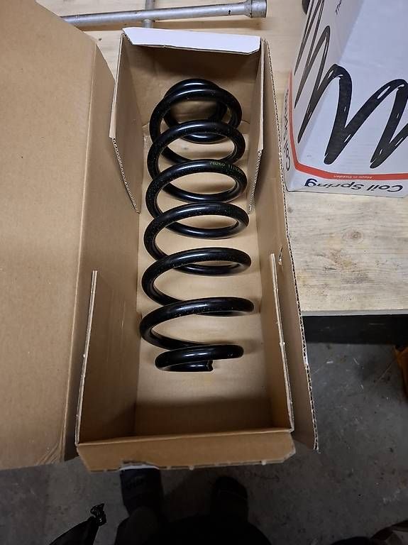 Il mondo degli animali: Vw tiguan 5n Federn hinten ohne allrad – Usato da Trub venduto da scaniaV8164 1