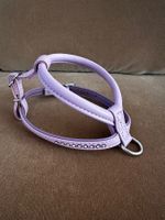 Hundegeschirr Lavendel, violett mit Strass