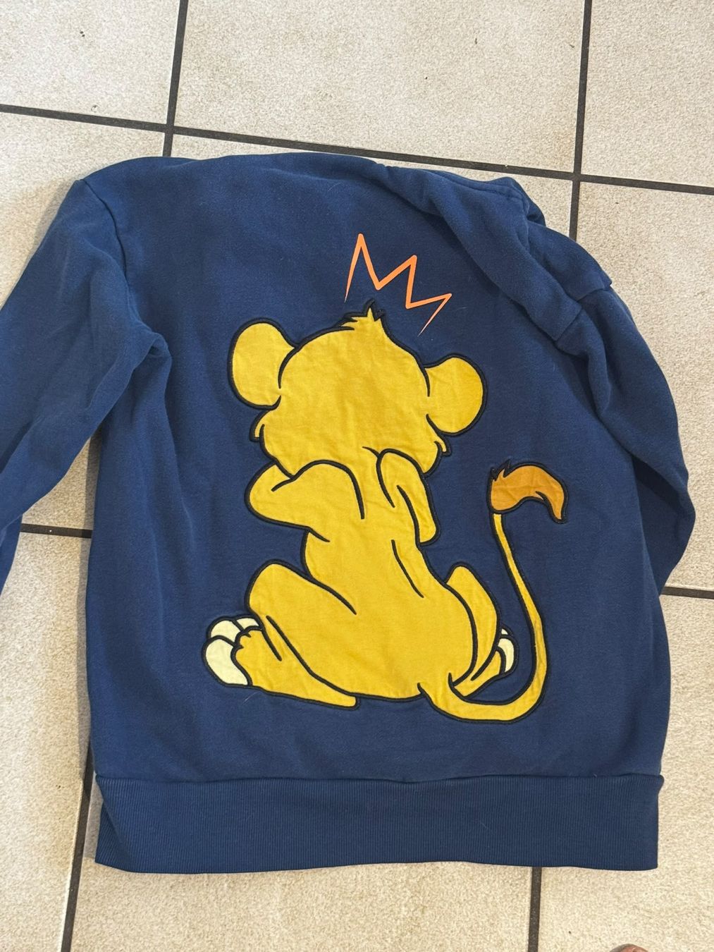Maglioni & Felpe: Kapuzenpulli Lion King – Usato da Egg b. Zürich venduto da Brocki_Insel_Egg 1