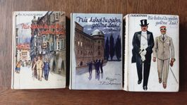F. H. Achermann, Nie kehrst du wieder, goldne Zeit, Bd. 1-3