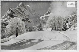 Braunwald im Winter