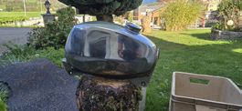 pony criss gt tank 36