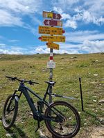 E MTB der Marke Bulls zu verkaufen