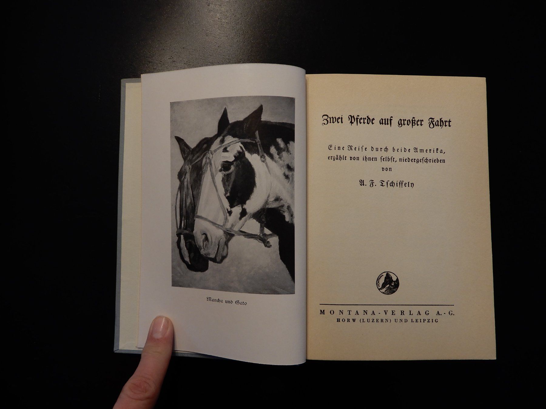 Libri: A.F. Tschiffely "Zwei Pferde" Montana Verlag – Usato da Erstfeld venduto da Mario_boe0 2