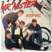 Mr. Mister: Broken Wings 7"