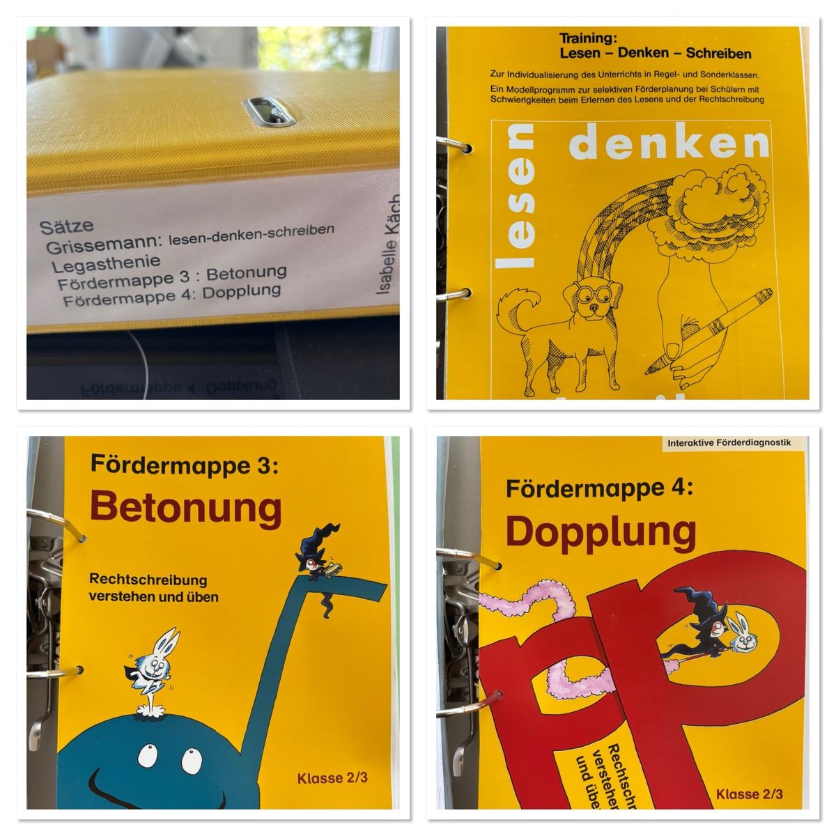 Raccoglitori: Unterrichtsmaterial Deutsch – Usato da Lenzburg venduto da IsabelleKaech 1