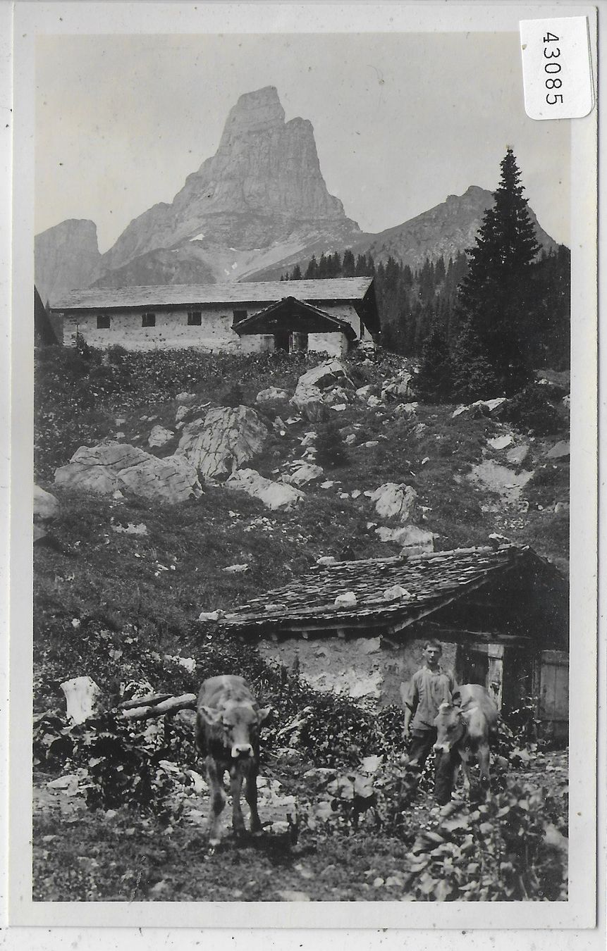 Cartes postales: Braunwaldalp - Senn mit Rinder – D'occasion à Ettingen par Kartenplanet