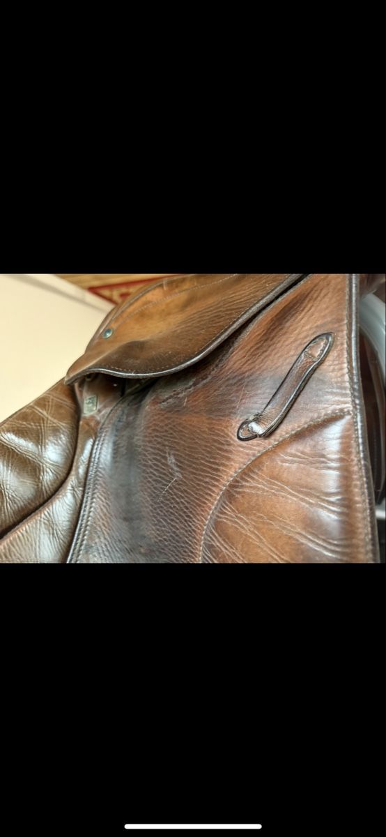 Selle & Accessori: Stübben Springsattel – Usato da Wolfhausen venduto da Sag86 2