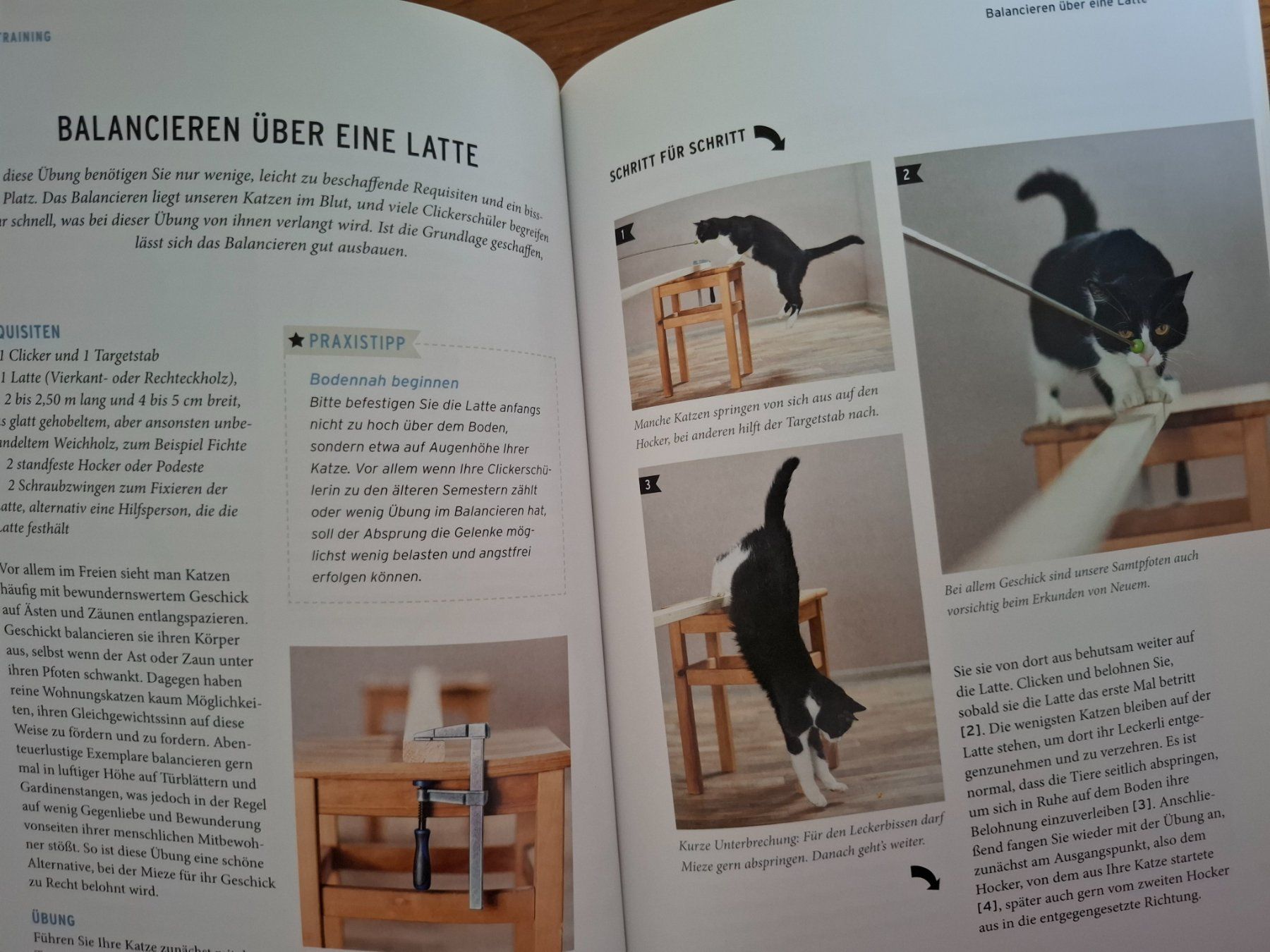 Libri: Katzen Clicker Training - Basics & Tricks - Praxisbuch – Usato da Eiken venduto da Lashar 3
