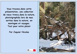 Livre photos de vieux tronc en forêts et divers