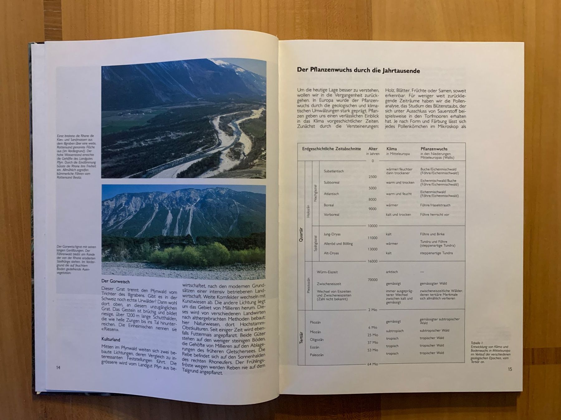 Libri: Natur entdecken im Pynwald – Usato da Thalwil venduto da Ardez123 2