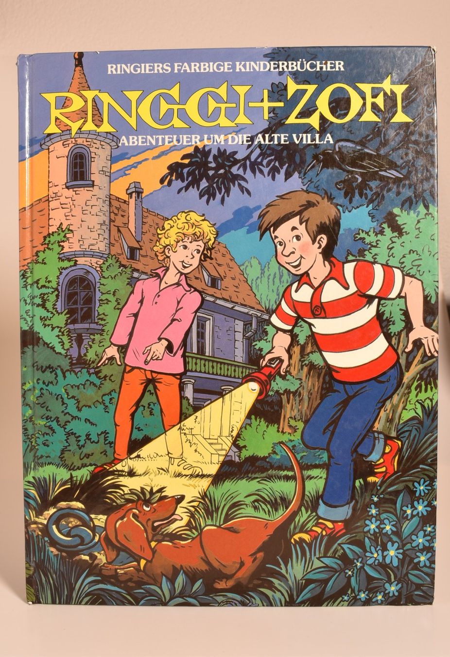 Comics: Ringgi + Zofi (2 Bücher) – Gebraucht aus Azmoos von greenstone13