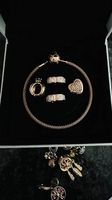 Pandora Armkette mit diversen Pandora Charms 