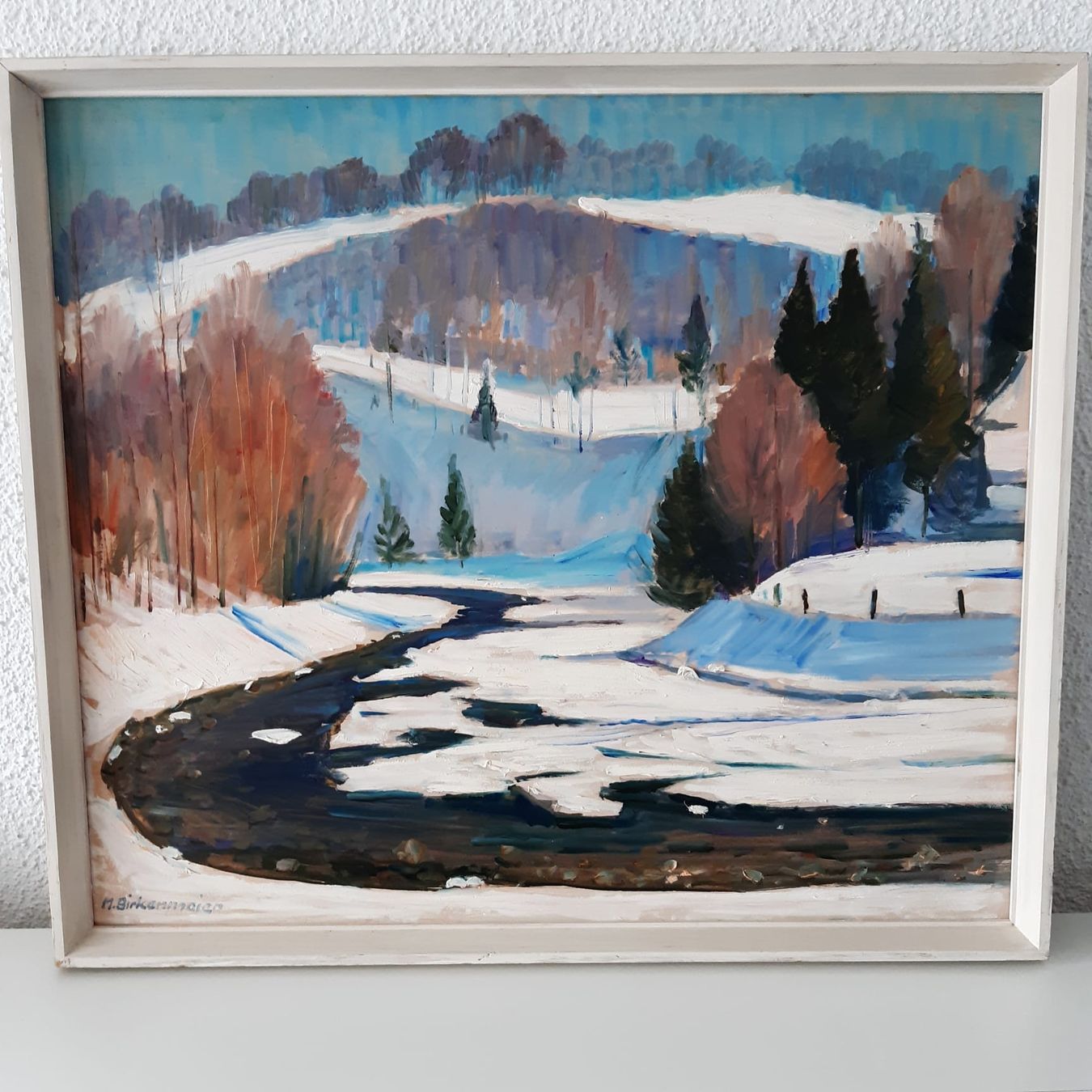 Foto & Immagini: Max Birkenmeier Shil – Usato da Seuzach venduto da SimiHutti