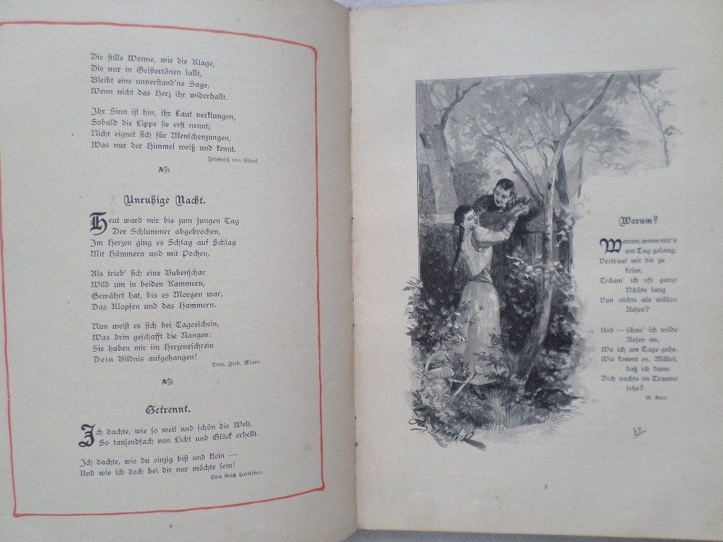Libri: Rosen und Dornen – Usato da Liestal venduto da man_7bt6 5