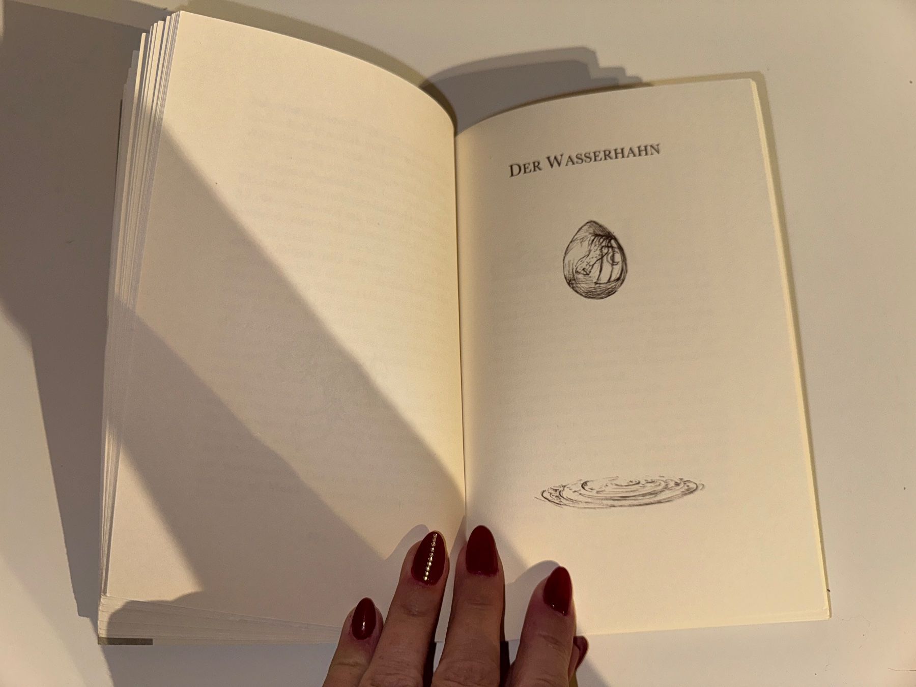 Livres: BUCH: Brigitte Schär, Das Schubladenkind – D'occasion à Grosswangen par Kleine.Knoepfe 6