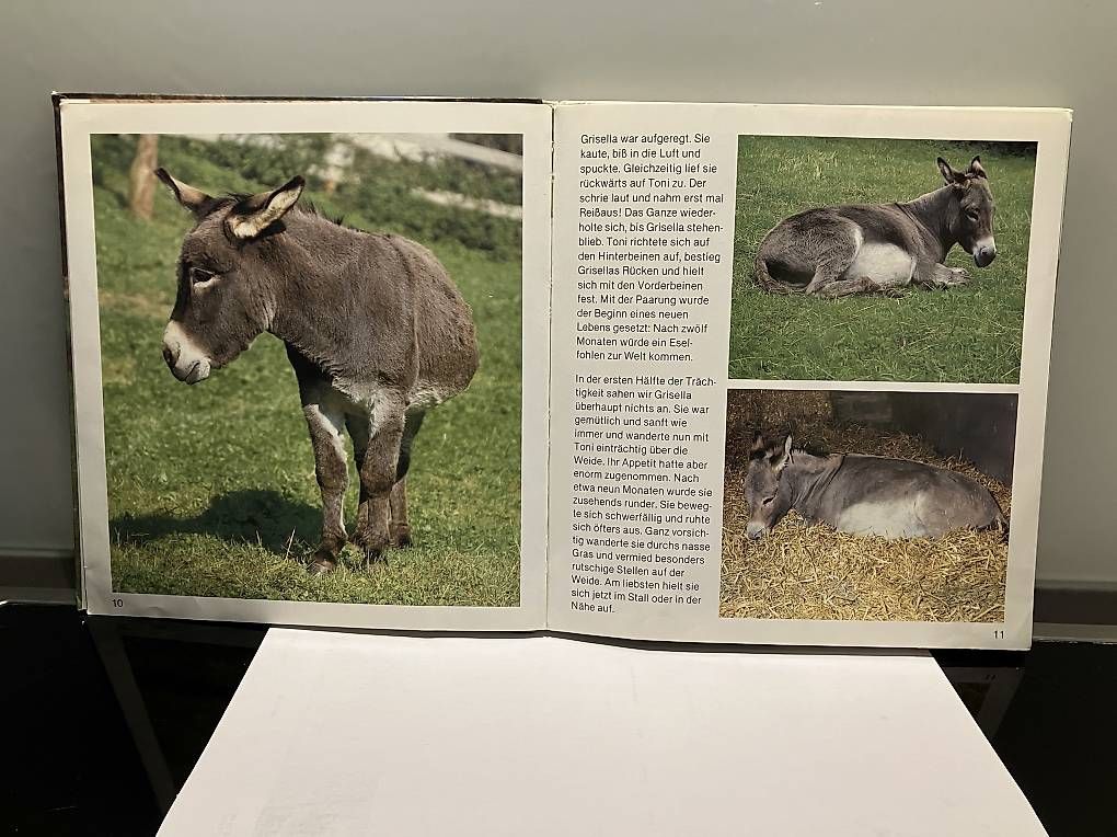 Livres: Kinderbuch  – D'occasion à Bronschhofen par Oggy0 1