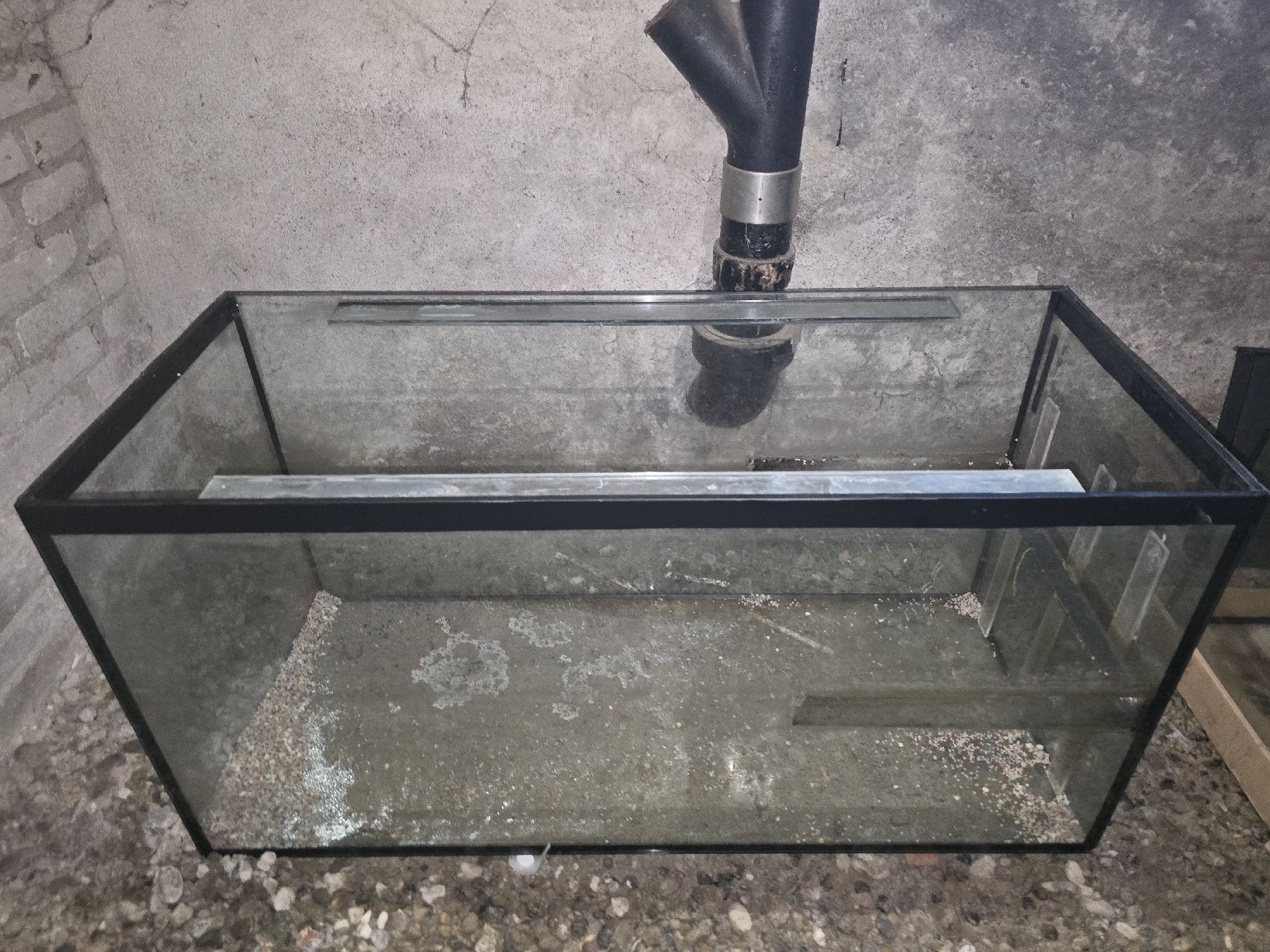 Acquari: Aquarium/Glass Terrarium – Usato da Zürich venduto da jjr_62ng