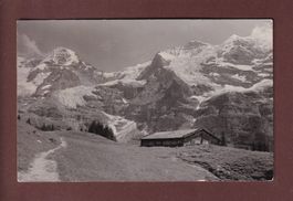 METTLE-ALP - Mönch - Jungfrau