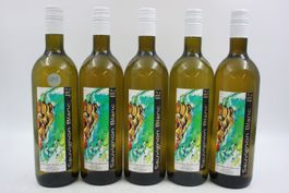 5x Cina Gilles & Joël Sauvignon Blanc 2024 (26092061Z)