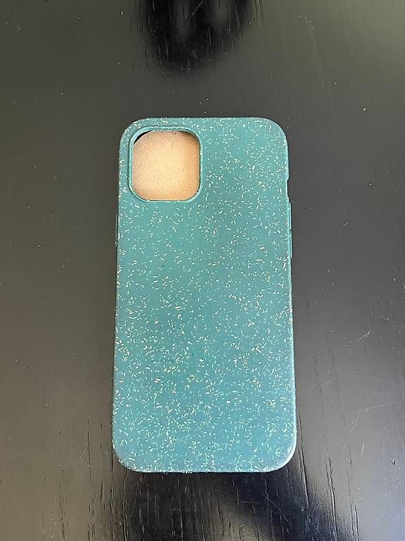 Cover & Protezioni schermo: Pela Case I phone 12 pro max – Usato da Allschwil venduto da Sebastian2019
