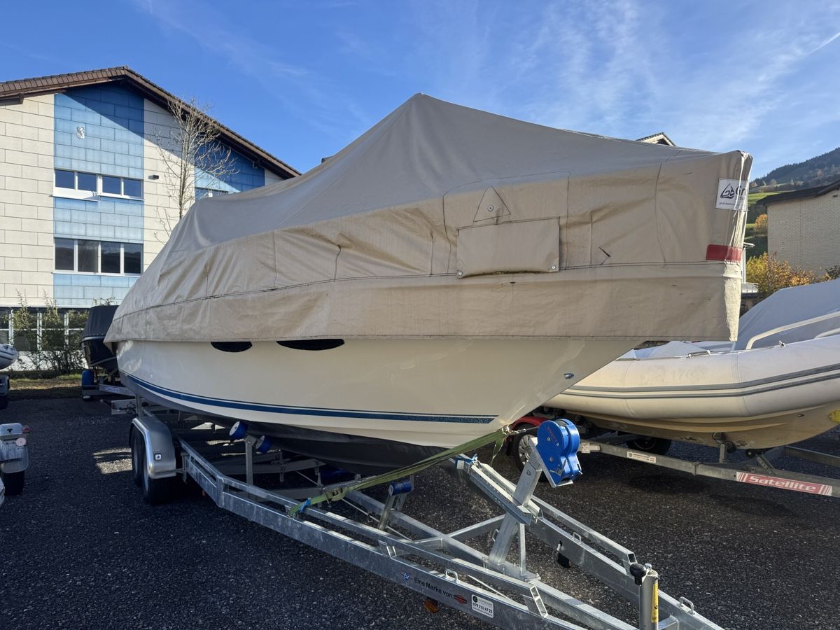 Sea Ray Boote: Sea Ray Cuddy Cabin – Gebraucht aus Wilen b. Wollerau von Loonyacht 2