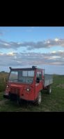 Aebi TP50 - Utilitaire agricole