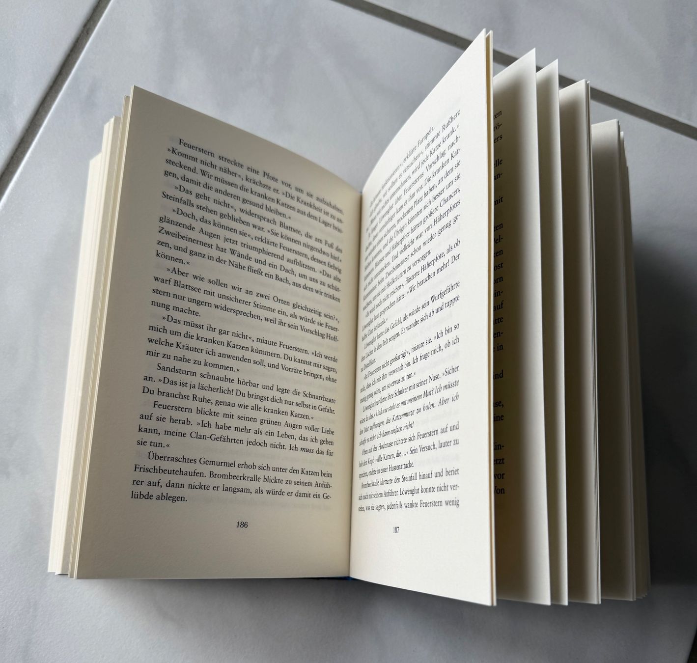 Libri: WARRIOR CATS   • Band 5 – Usato da Oberbipp venduto da annegret05 3