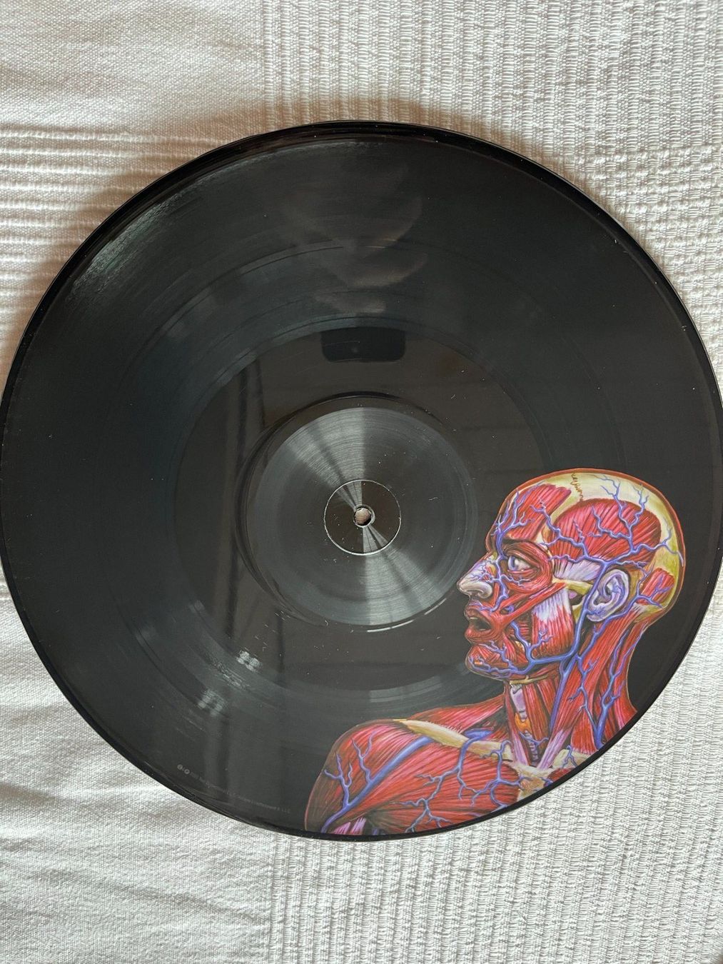 Dischi in vinile: Tool - Lateralus 2x Vinyl LP Picture DIsc! – Usato da Effretikon venduto da ChrisLamberger 6