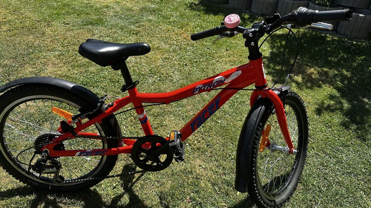 Vélos: Kinderfahrrad Python Racer 20 Zoll Rot gebraucht – D'occasion à Walzenhausen par Thomas0891 3